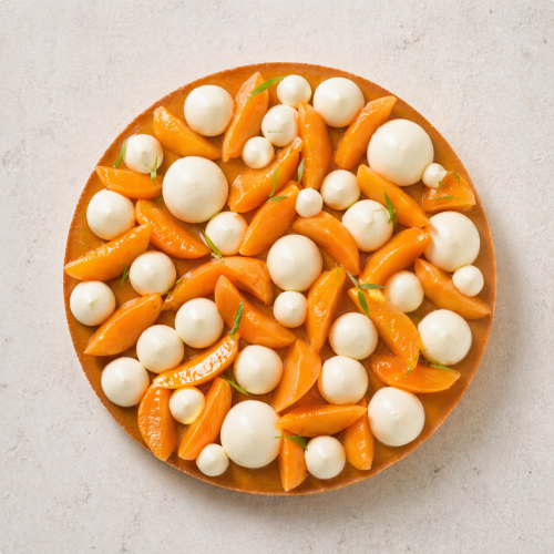 c8ab04bb d25e 4022 bc9c 5a1c94420a7b